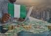 Nigerian Foreign Exchange Market