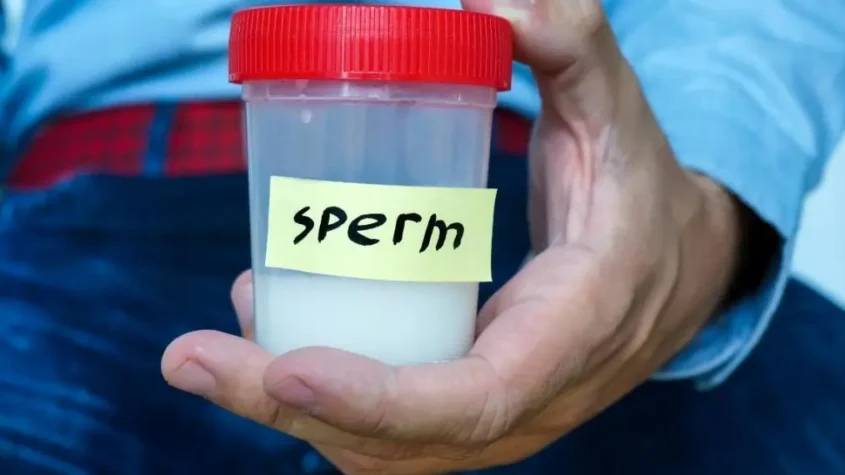 Sperm donation