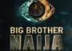 big brother naija