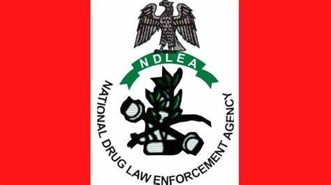 Two NDLEA officers arrested for alleged murder of 19yo lady in Kano 1 NDLEA
