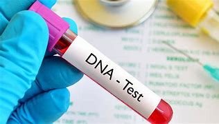 Many Marriages on the Brink, as Men Demand DNA Tests on Children 12 dna