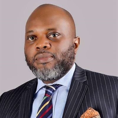 Tope Fasua, Special Adviser on Economic Matters: A Discreet Role with High Expectations 1 fasua