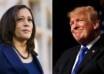 kamala harris donald trump polls map