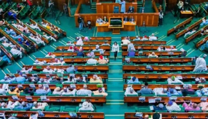 Deploy troops to Borno, Kaduna Communities, Reps urge FG 7 House of Reps 1 1024x705 1