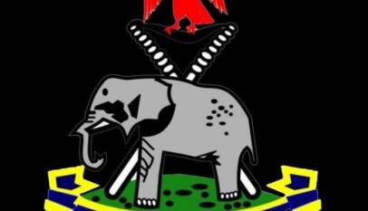 Nigeria Police 704x720 1