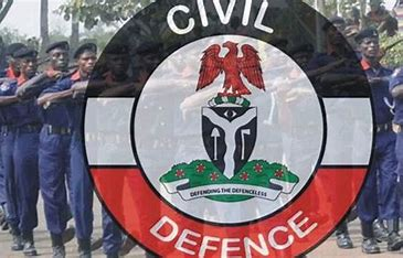 NSCDC Arrests Power Installation Vandals, Burglars in Taraba 5 image 57