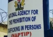 NAPTIP National Agency for the Prohibition of Trafficking in Persons e1657089385908.jpeg 1