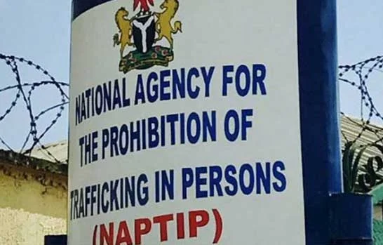 NAPTIP rescues 2yo girl trafficked from Abuja to Aba for N100k 1 NAPTIP National Agency for the Prohibition of Trafficking in Persons e1657089385908.jpeg 1