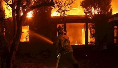 Hollywood burns, 5 dead, 130,000 evacuated in LA wildfires 3 image 17