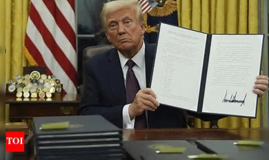 What Trump's 'Immigration and Border Security Orders' means for Nigerian, other migrants 1 image 46