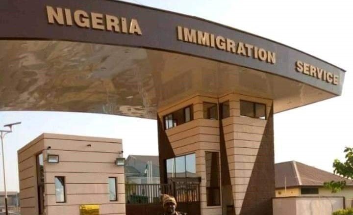 NIS relieves border commanders, orders probe over extortion allegations 1 Nigeria Immigration Service