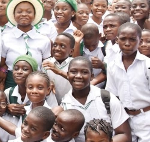 FG introduces 12-year basic education model 1 image 2