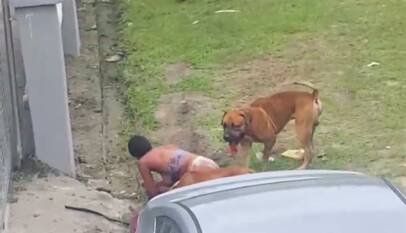 Horror in Warri: Pack of 6 Dogs Maul Owners' Daughter 7 WhatsApp Image 2025 05 21 at 19.51.35 7eaa83b9