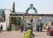 Kogi poly