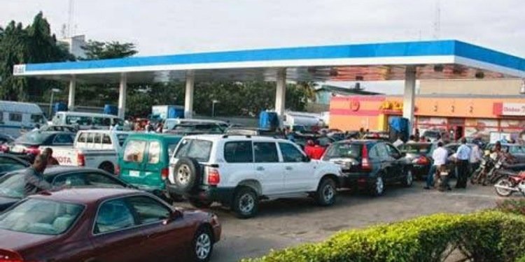 Petrol price may fall below N800/litre, marketers tell FG 1 Fuel scarcity 1 11