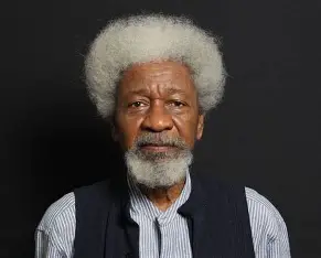 Call Seyi Tinubu to order, Wole Soyinka tells President 5 image 3