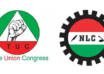 TUC NLC